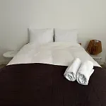 House Anne 公寓 马斯特里赫特