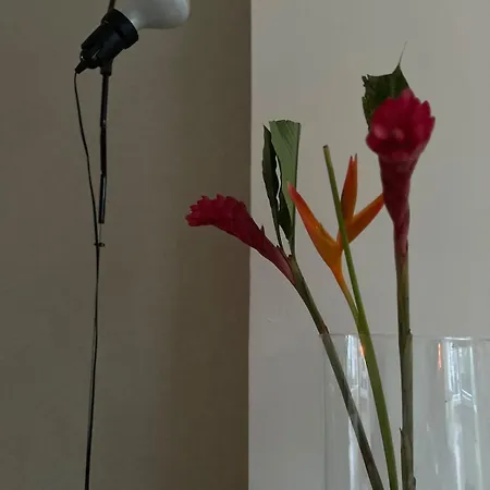 Apartamento House Anne Maastricht