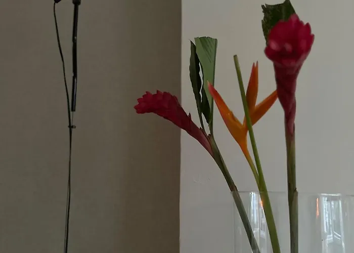 Apartamento House Anne Maastricht