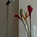 דירה House Anne מאסטריכט